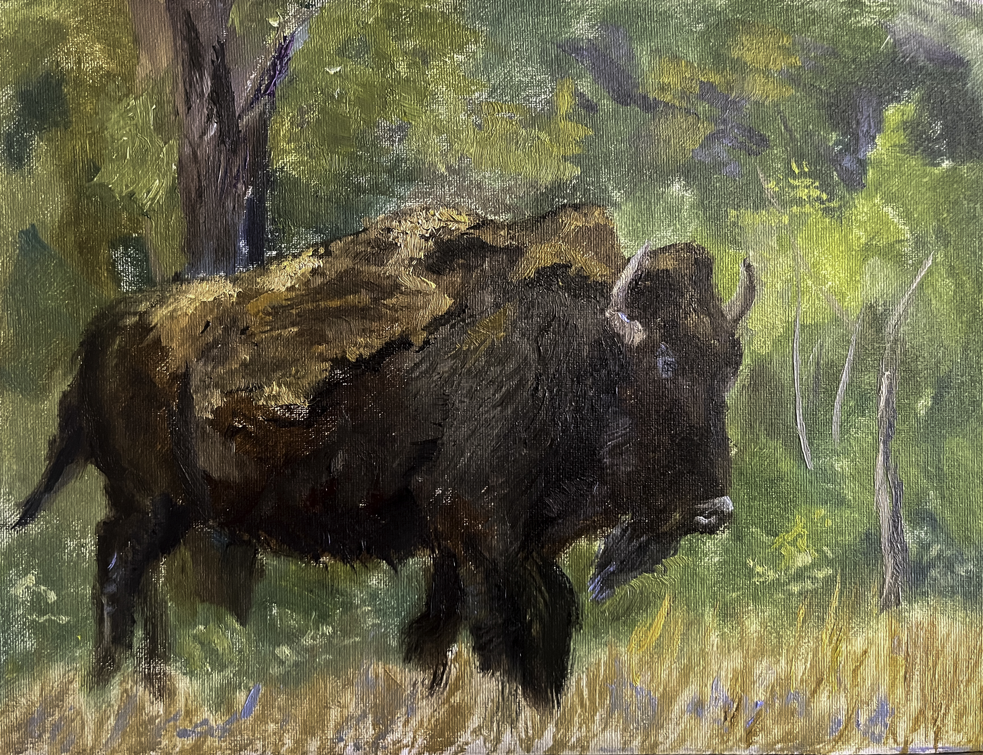 Great American Bison - Original