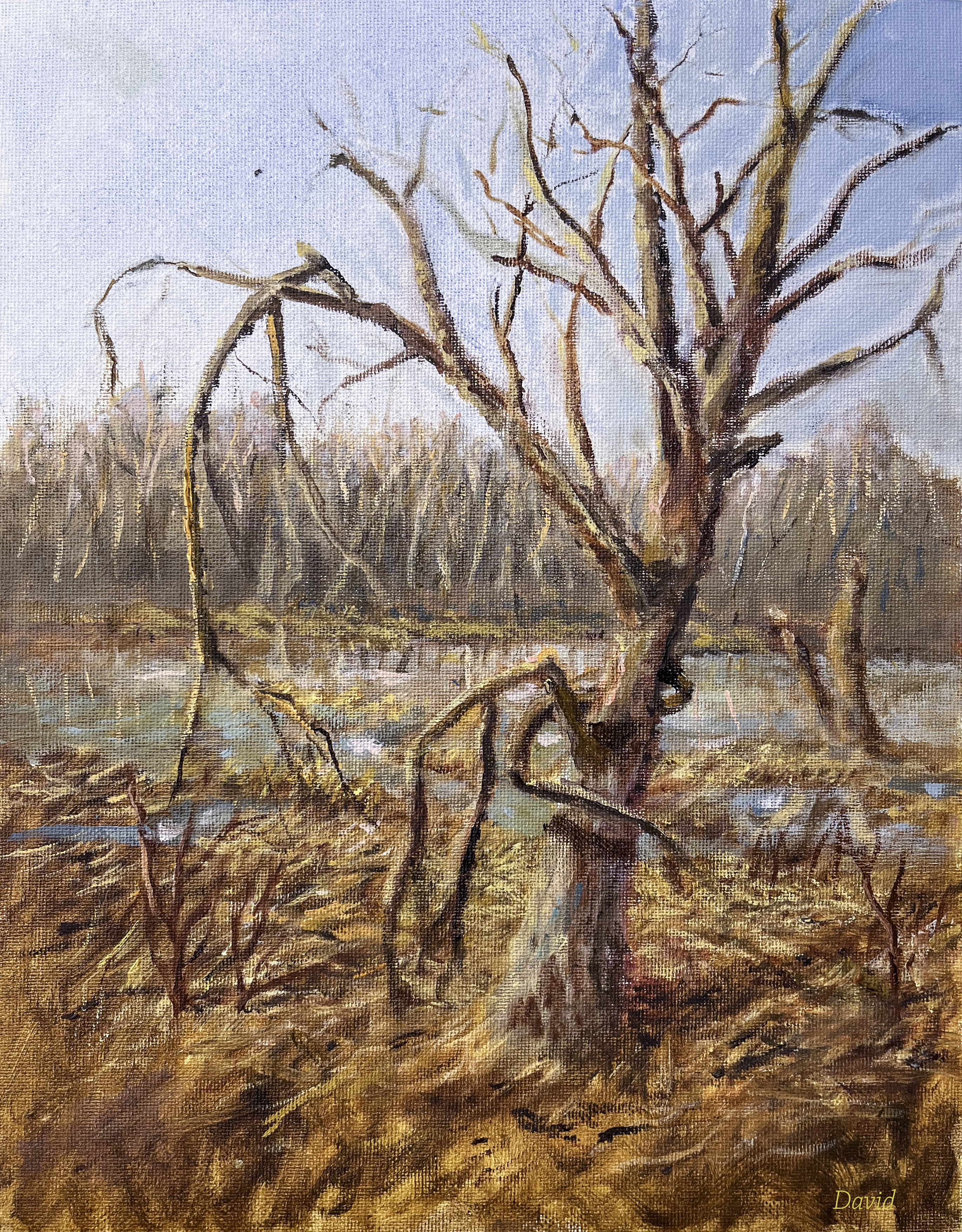 The Waiting Season - Original